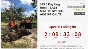 Whether with family and friends or as a. Texas Hog Hunting Posts Facebook