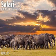 Pin On 2021 Animal Calendars
