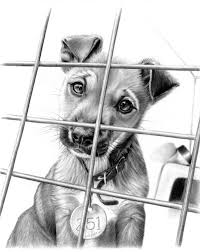Pick Meee By Imaginee On Deviantart Shelter Dog Portraits Realistic Pencil Drawings Cool Pencil Drawings Dog Pencil Drawing
