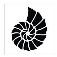 Nautilus Shell Stencil Scrapbooking Fabric Painting Etsy In 2021 Fabric Painting Nautilus Stencils