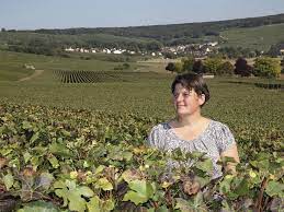 Champagne Christelle Salomon - Producer in VANDIERES - Montagne de Reims  Regional Natural Park