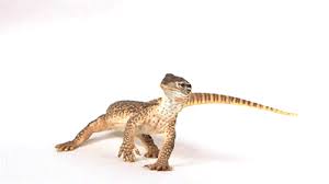 Animated Lizard Gif Lizard Cool Animations Animation