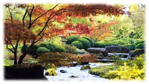 Unser ak urbane gärten hat heute die silberdistel der augsburger allgemeinen verliehen bekommen. Herbstlicher Japangarten Im Augsburger Botanischen Garten Foto Bild Jahreszeiten Herbst Natur Bilder Auf Fotocommunity