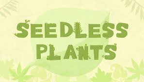 We did not find results for: Seedless Plants Types Science For Kids Mocomi Kids