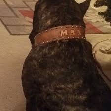 Pin On A Cekim Boyun Tasmasi Www Gannicus Com Tr Tarkantekinel Hotmail Com 0538 418 07 18 0212 578 62 58