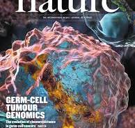Scientific Journal Cover Designs - Ella Maru Studio