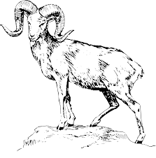Free Free 193 Mountain Goat Svg SVG PNG EPS DXF File