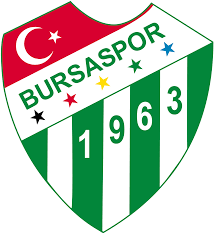 Graphic design elements (ai, eps, svg, pdf,png ). Bursaspor Basketbol Wikipedia