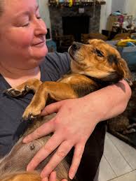 🆘 Mama & Pups need assistance ️🆘️