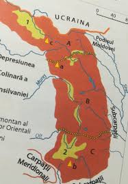 Altitudinea maxim o atinge vrful ciuca cu 1954 m. Pe Harta De Mai Jos Sunt Marcate Cu Literele A B Si C Grupele De MunÈ›i Din Carpatii Orientali Scrie Brainly Ro