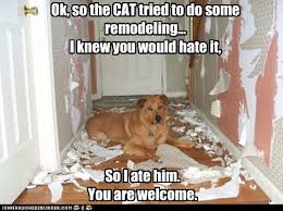 I Has A Hotdog Remodeling Funny Dog Pictures Dog Memes Puppy Pictures Pictures Of Dogs Dog Pictures Funny Pictures Of Dogs Dog Memes Puppy Pictures Doge Cheezburger