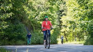 The motor itself is actually encased in an aluminum alloy cast. Are Electric Bikes Legal In Canada Pedego Electric Bikes Canada