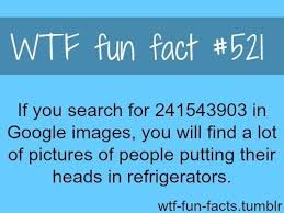 Wtf Fun Facts Wtf Fun Facts Fun Facts Funny Facts