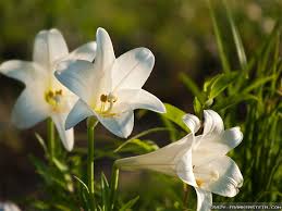 HAPPY EASTER!