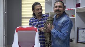 Yaptiklari Kedi Tuvaleti Icin Patent Basvurusu Yapti Youtube