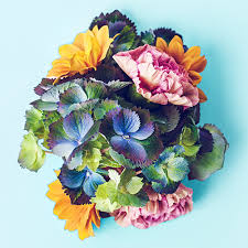 Surprise 5 food/beverages port kembla. Melbourne Cup Wollongong Collegians