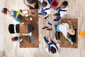 Maybe you would like to learn more about one of these? Article Blog Comment Etablir Un Plan De Nettoyage Et De Desinfection Delcourt Fr