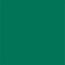 Colorado blue spruce tree picea pungens. Bol Com Colorama 137 Spruce Green 2 72x11m