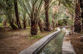 Abdul rahman bin auf's contribution to islam. The Story Of Abdur Rahman Ibn Awf The Religion Of Islam