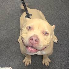 Thunder 104.5 WGRX added a new photo.