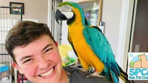 Pass The Mic Episode 4