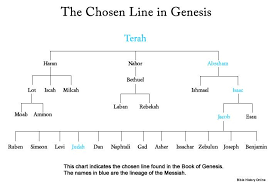 chart of the chosen line of the messiah in genesis bible