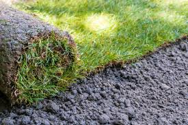 Maybe you would like to learn more about one of these? 2021 Sod Installation Cost Sod Cost Per Square Foot