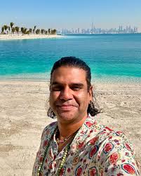 Purple Rain Live at Disney's California Adventure 01/02/25 For Disney  Festival of Holidays #prince #sitar #purplerain #disney #vibes