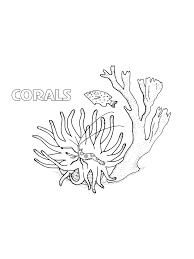 Ausmalbild fisch ausmalbilder fische fisch zeichnung und. Malvorlagen Korallen Ausmalbilder Kostenlos Zum Ausdrucken