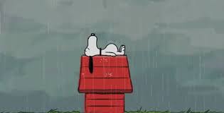 Check spelling or type a new query. Funny Quotes Snoopy Good Night Quotesgram