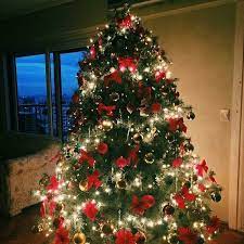 I call kelly, and he helps me drag home a 3' wimp that i cover only in little white. Christmas Wonderland