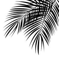 Free jungle leaf template, download free clip. Palm Leaf Cliparts Stock Vector And Royalty Free Palm Leaf Illustrations
