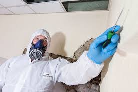 What are the different types of asbestos surveys? | RB Asbestos