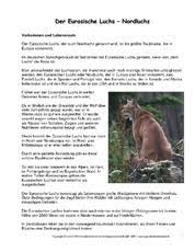 Schau also genau hin, welche personen, tiere oder gebäude auf dem foto oder bild zu sehen sind. Tiersteckbrief In Der Grundschule Sachtexte Tiere Sachthemen Hus Klasse 3 Grundschulmaterial De