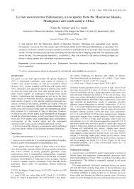 Image result for Lycium mascarenense