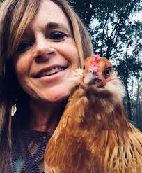 Will a single Ameraucana chicken be okay in winter?