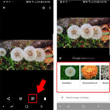 カメラをかざすだけで情報を検索 Googleレンズ の新機能 Time Space By Kddi