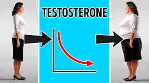9 hormones that lead to weight gain and