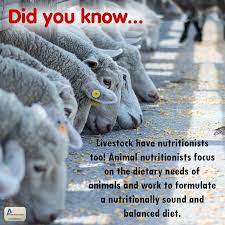 Did You Know Livestock Have Nutritionists Too Animal Nutritionists Focus On The Dietary Needs Of Animals And Wo Animal Nutrition Farm Facts Animal Behavior