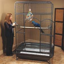 Extra Large Bird Cage For Sale Cheap Best 5 Prevue Bird Cages Review For Your Fluffy Parrot In 2020 In 2020 Macaw Cage Parakeet Cage Large Parrot Cage