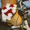 How to paint bicycle basket with flowers | watercolor. 1
