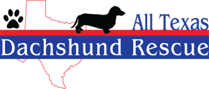 Browse thru our id verified puppy for sale listings to find your perfect puppy in your area. All Texas Dachshund Rescue Atdr Rescuing Dachshunds In Austin Dallas Ft Worth Houston San Antonio Beyond