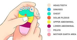 Pin On Pregnancy