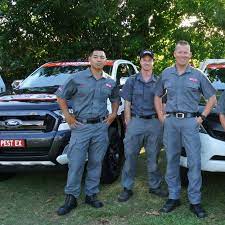 We're dothan's most experienced family owned pest control service. Pest Ex Termite Pest Control Gold Coast Youtube