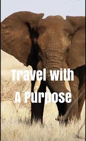Family Travel With A Purpose Culturally Immersive Volunteer Opportunities Time Fli Volunteer Travel Volunteer Africa Animals Travel Inspiration Destinations