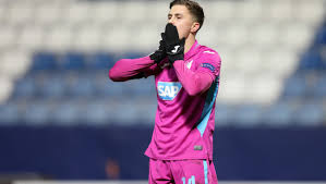 Christoph baumgartner ist seit 2013 rechtsanwaltsanwärter bei binder grösswang. 2 0 Gegen Liberec Europa League Baumgartner Trifft Fur Hoffenheim Krone At