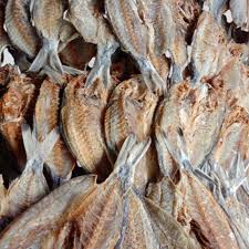 Cara pemberian pakan basah dan kering ikan. Ikan Masin Tawau Price Promotion Jun 2021 Biggo Malaysia