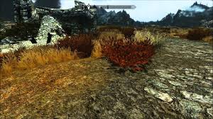 Use the bend will shout to tame sahrotaar. How Many Dragon Souls Do I Need For Dragon Aspect