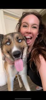 Lost dog in Mueller area, Austin, needs help and foster care