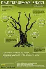 At mccabe's tree experts, our warren tree services company is here to provide for all of your needs. 22 Posters Ideas Warren Buffett Tree Quotes Tree Service